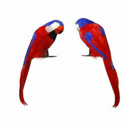 Papegaai Multicolour