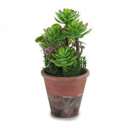 Decoratieve plant Plastic