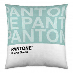 Cushion cover Two Colours...