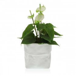 Plant pot Versa White...