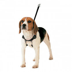 Dog Harness Gloria 30-42 cm...