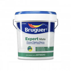 Paint Bruguer Expert...