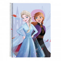 Notitieboekje Frozen...