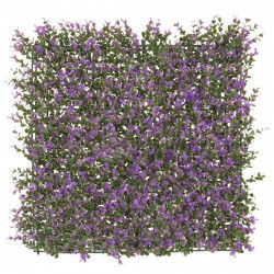 Hek   Lavendel 50 x 50 x 2 cm