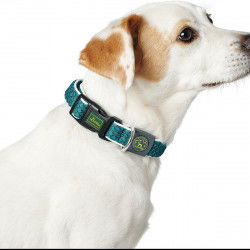 Dog collar Hunter Basic...
