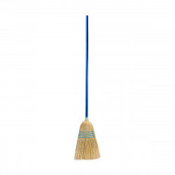 Sweeping Brush Barbosa...