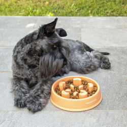 Slow Eating Food Bowl for...